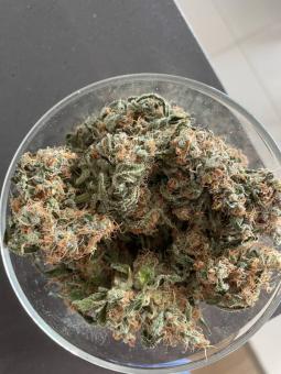 Super Lemon Haze Auto (Feminised) - картинка 1