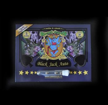 Black Jack Auto - картинка 1